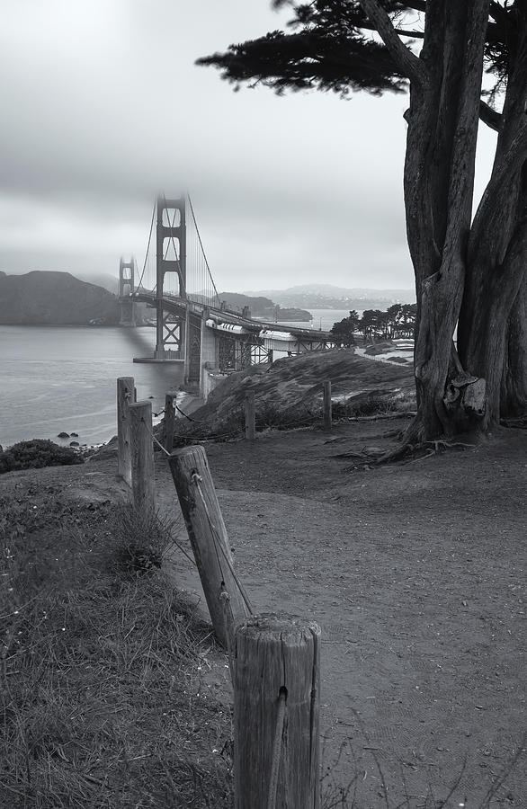Golden Gate On Summer Morning Bw Photograph by Jonathan Nguyen