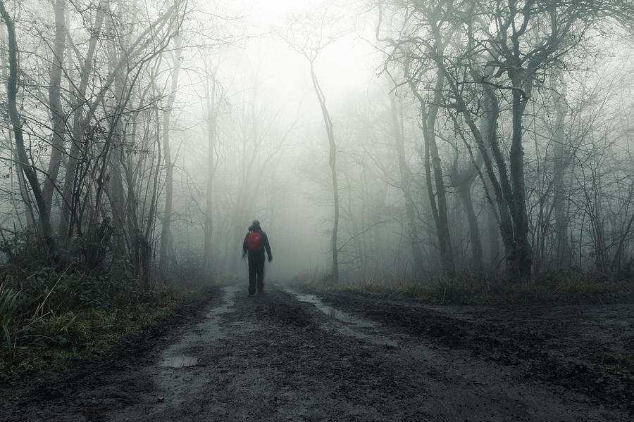 Ghost hiker in the forest Photograph by David Wall