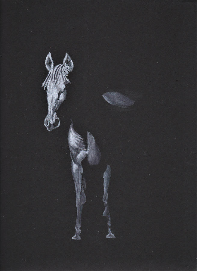 Ghost Horse Drawing by Jay Johnston Fine Art America