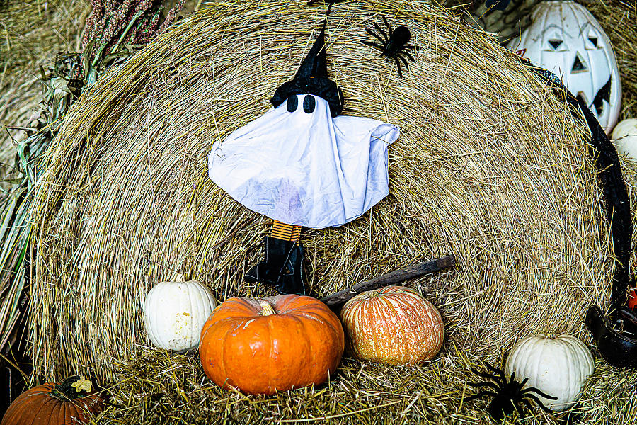 Ghost, Pumpkins, Hay and Spiders Photograph by David Morehead