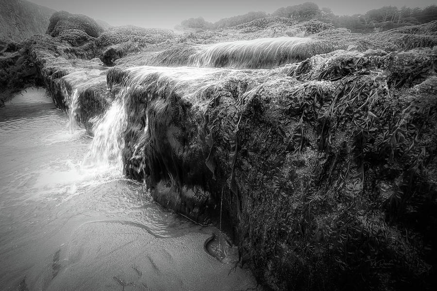 Ghost Tide Photograph by Bill Posner