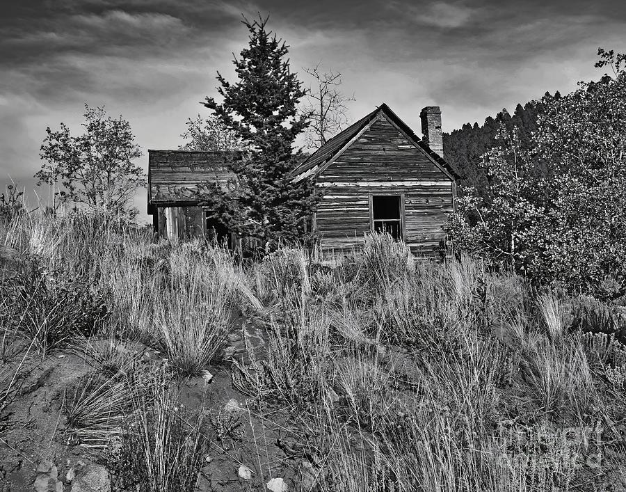 Ghost Town Abandon House Photograph by Steve Brown