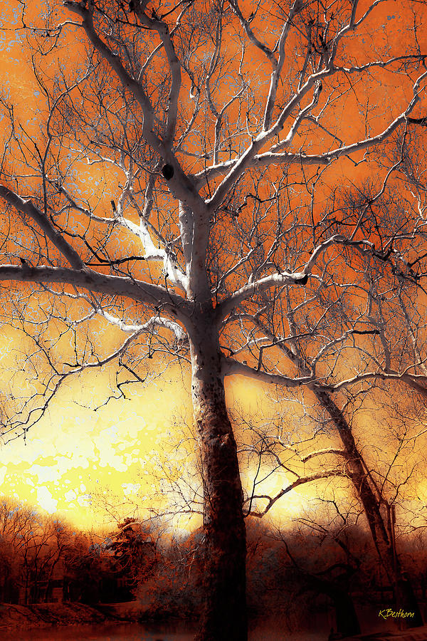Ghost Tree Digital Art by Kathy Besthorn