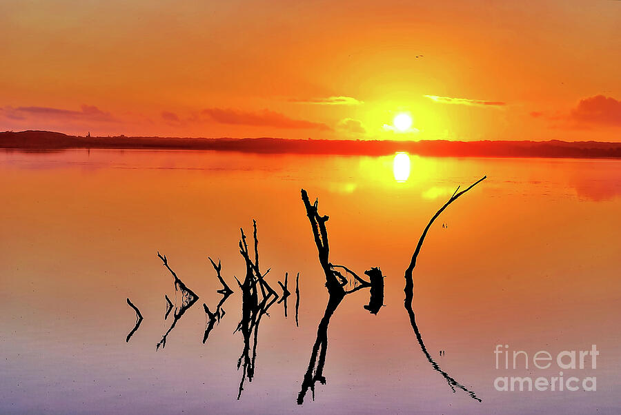 Ghost Tree Sunset Photograph by Jack Andreasen - Fine Art America