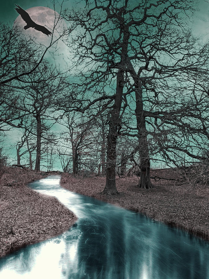 Ghostlands Digital Art by Jason Fink