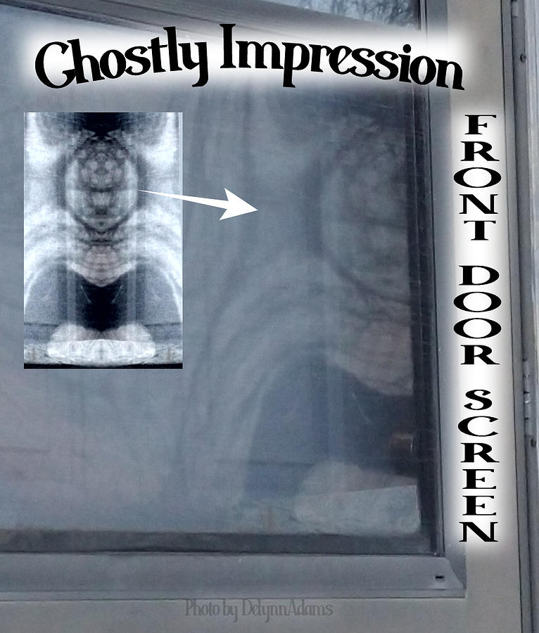 Ghostly Impression on Front Door Screen Pareidolia Photograph by Delynn Addams