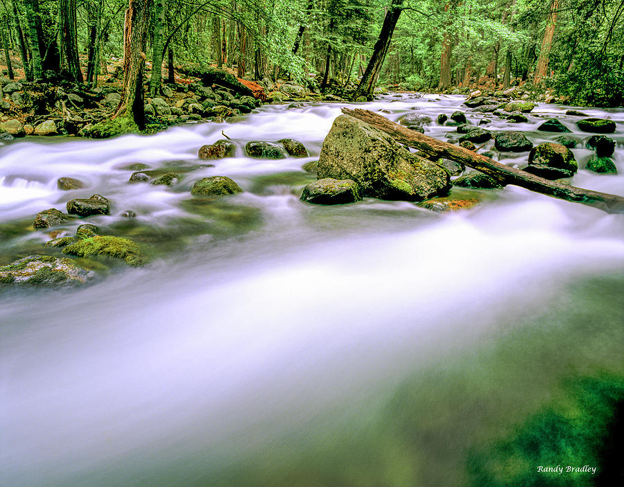 Ghostly River Running Through Forest  Photograph by Randy Bradley
