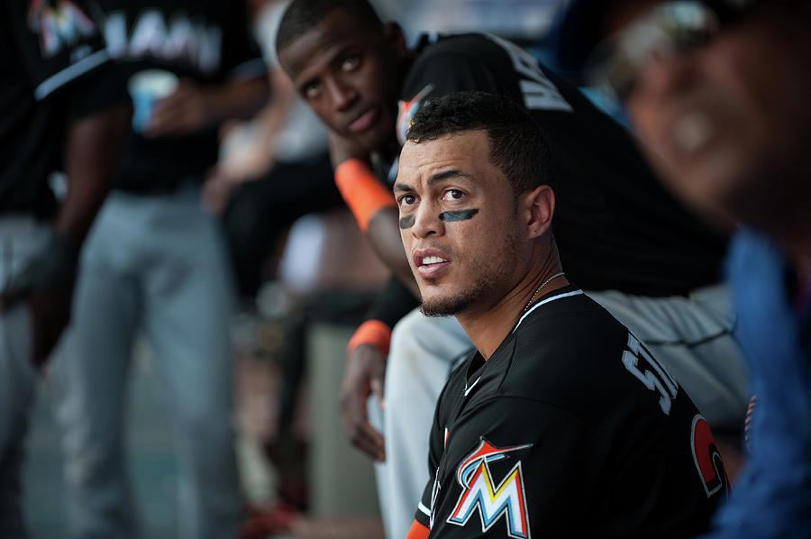 Giancarlo Stanton Photograph by Rob Tringali Giancarlo Stanton Photograph by Rob Tringali
