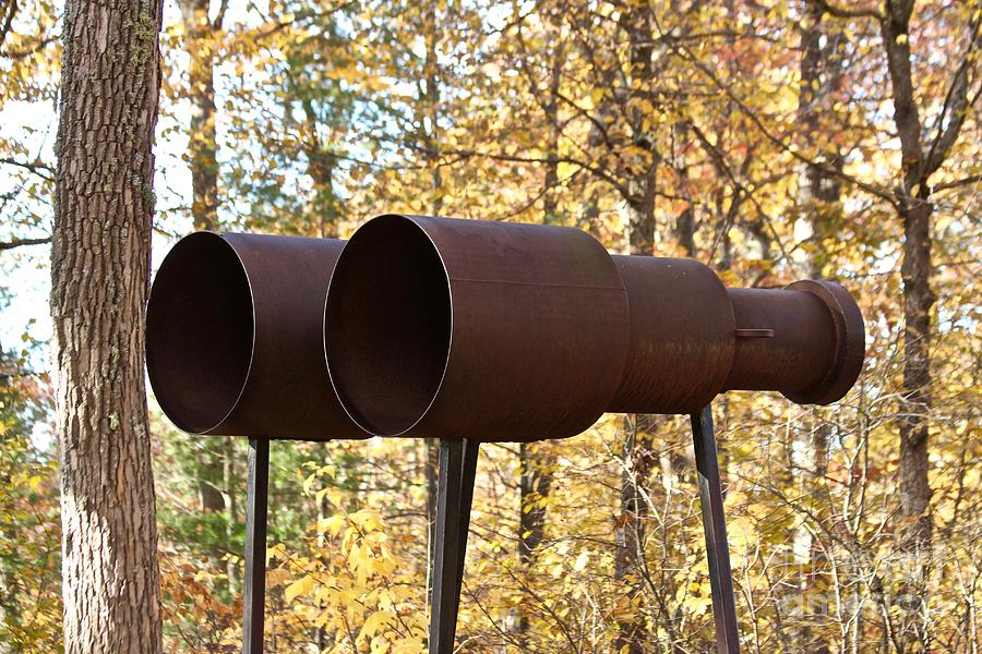 Giant Binoculars Photograph by Ann E Robson