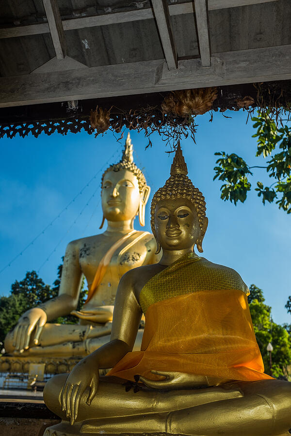 Giant buddha Photograph by GuyBerresfordPhotography