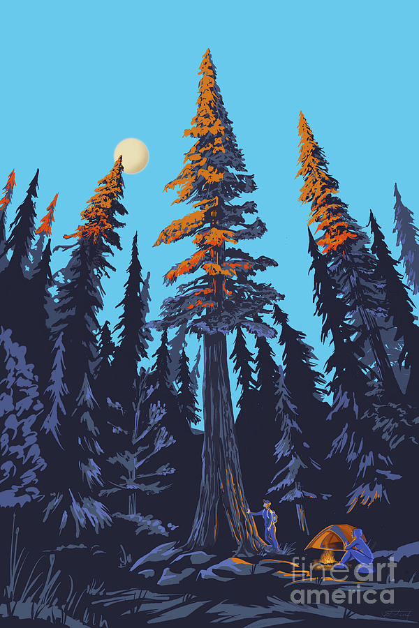 Nature Painting - Giant Cedar by Sassan Filsoof