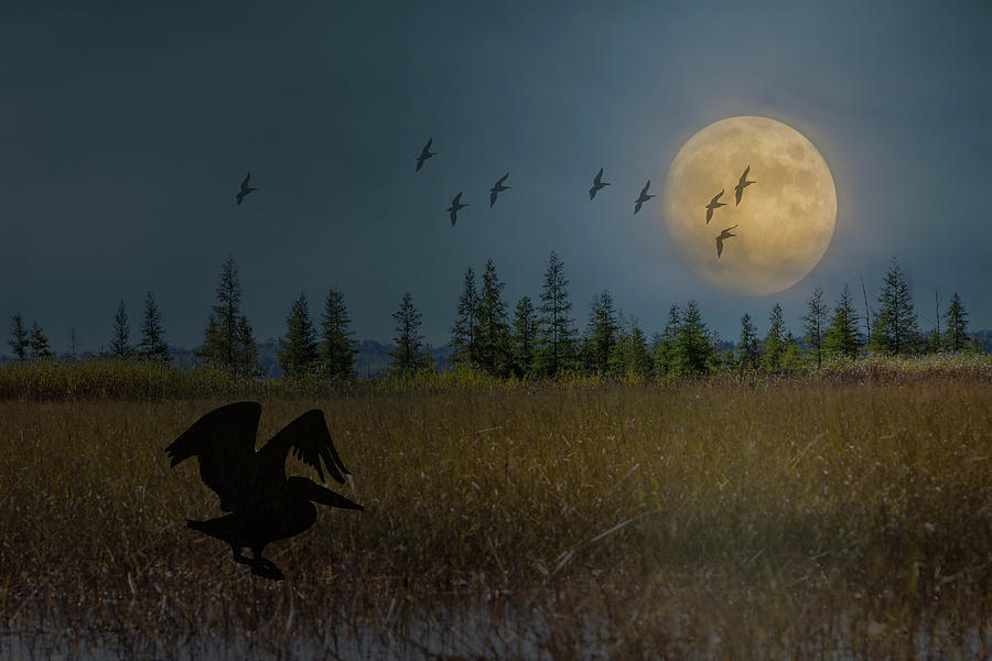 Giant Full Moon Composite Photograph by Patti Deters