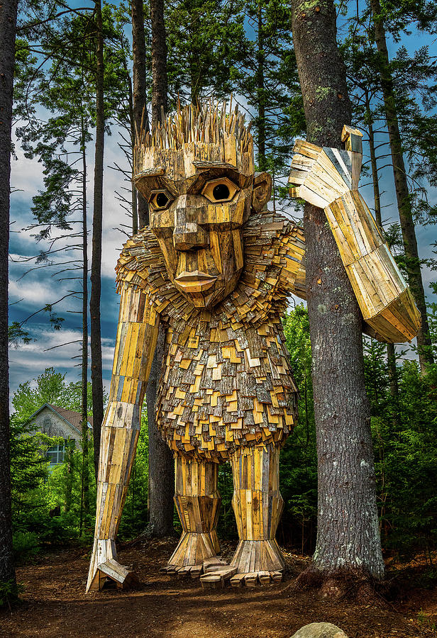 Giant in the woods Photograph by David Hufstader