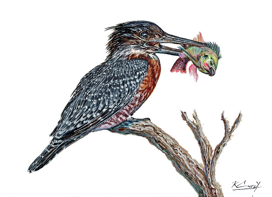 Giant Kingfisher Painting by Keith Carey