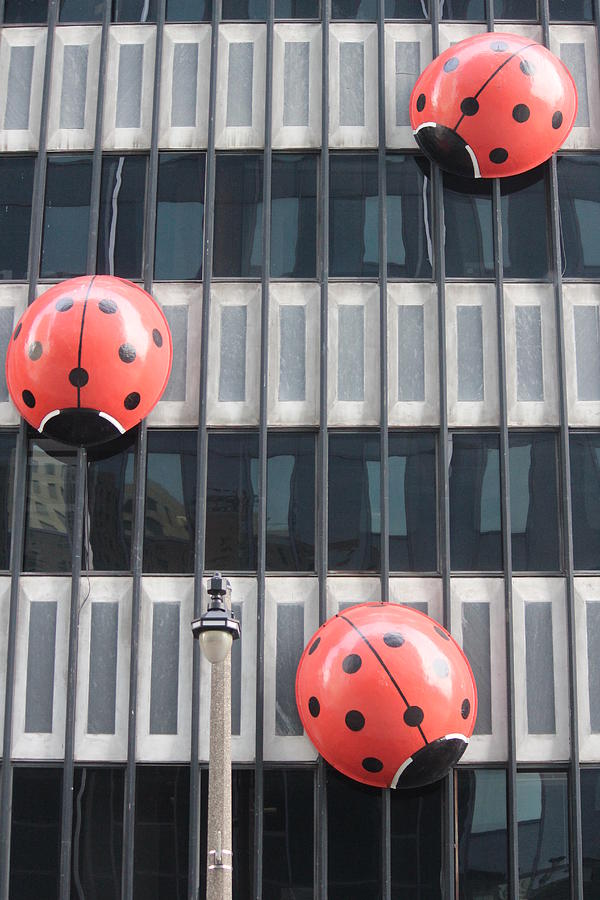 giant stuffed ladybug