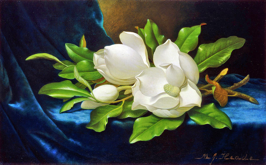 Giant Magnolias Digital Art by Long Shot