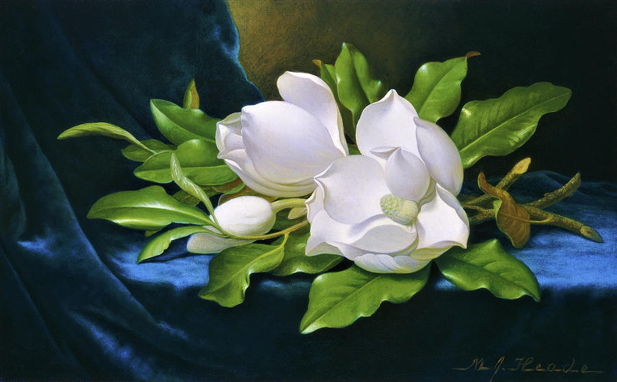 Martin Johnson Heade Painting - Giant Magnolias on a Blue Velvet Cloth - Digital Remastered Edition by Martin Johnson Heade
