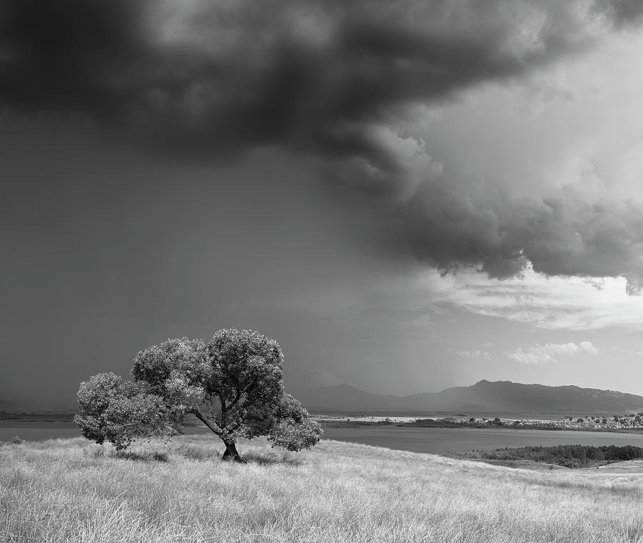 San Diego Photograph - Giant Monsoon Clouds Over Warner Springs by William Dunigan