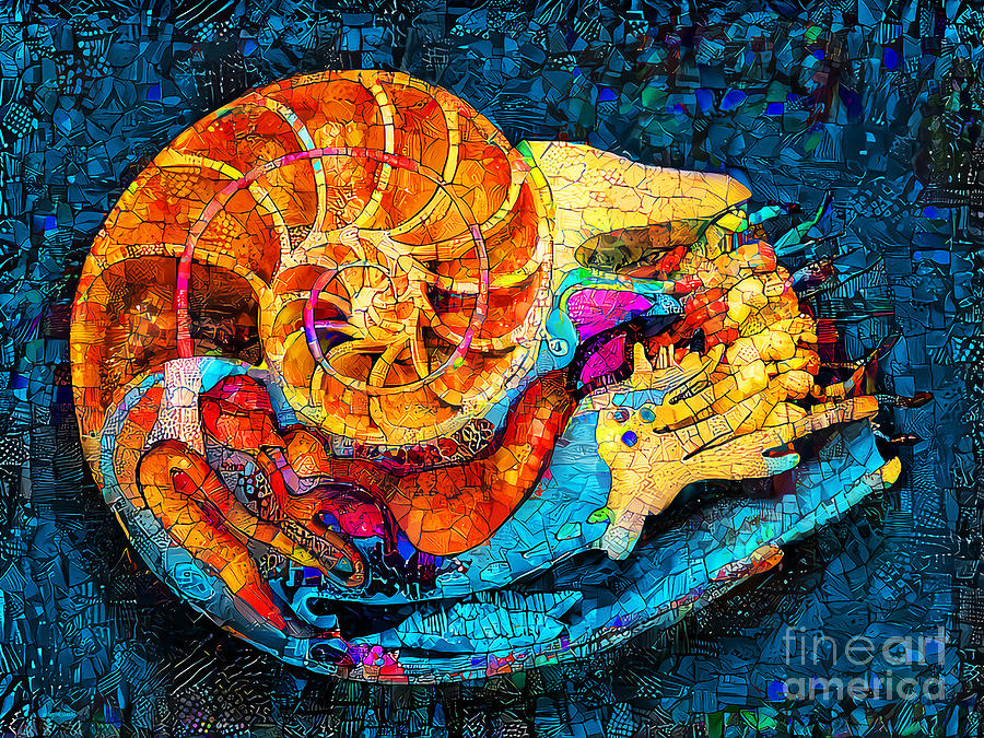 Giant Nautilus in Contemporary Modern Art 20220102 Photograph by Wingsdomain Art and Photography