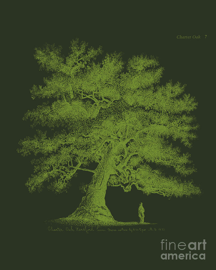 Tree Digital Art - Giant Oak Tree by Madame Memento