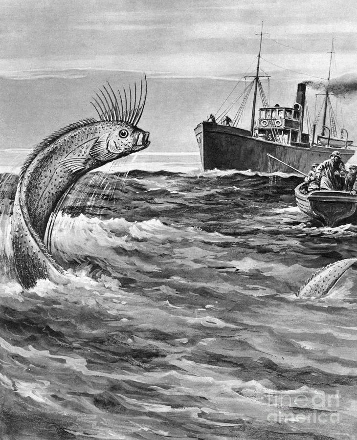 Giant Oarfish, 1921 Drawing by Granger