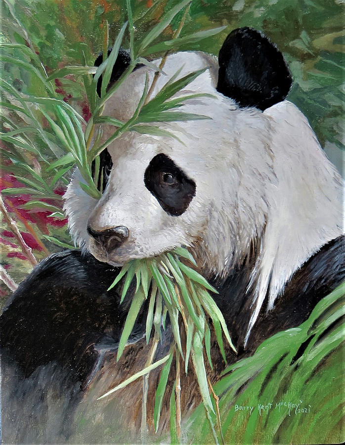 Giant Panda Portrait Painting by Barry Kent MacKay