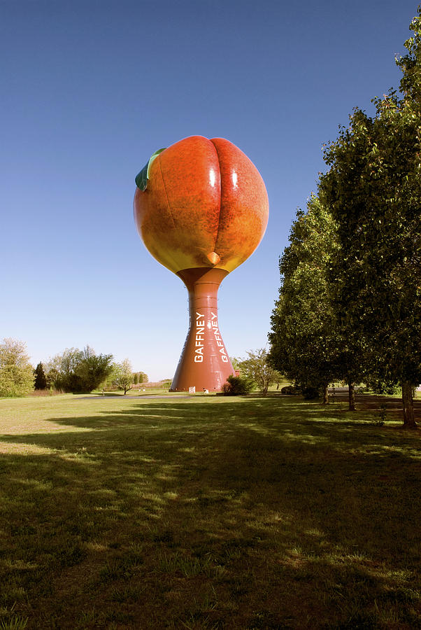 Giant Peach Gaffney South Carolina Photograph by Bob Pardue