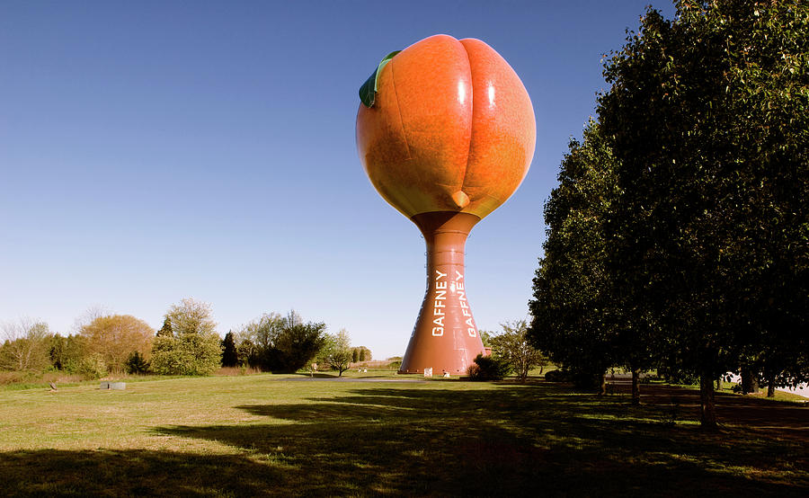 Giant Peach Gaffney South Carolina USA Photograph by Bob Pardue