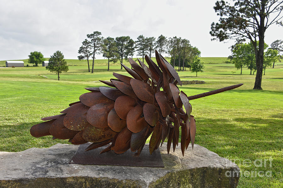 Giant Pine Cone Sculpture Photograph by Catherine Sherman