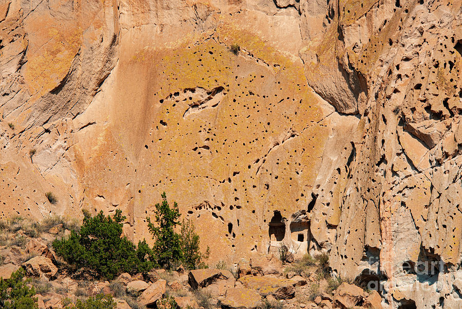 Giant Pocked Rock Face Bandelier National Monument Photograph by Bob Phillips