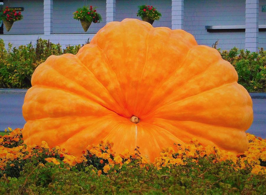 - Giant Pumpkin Photograph by THERESA Nye