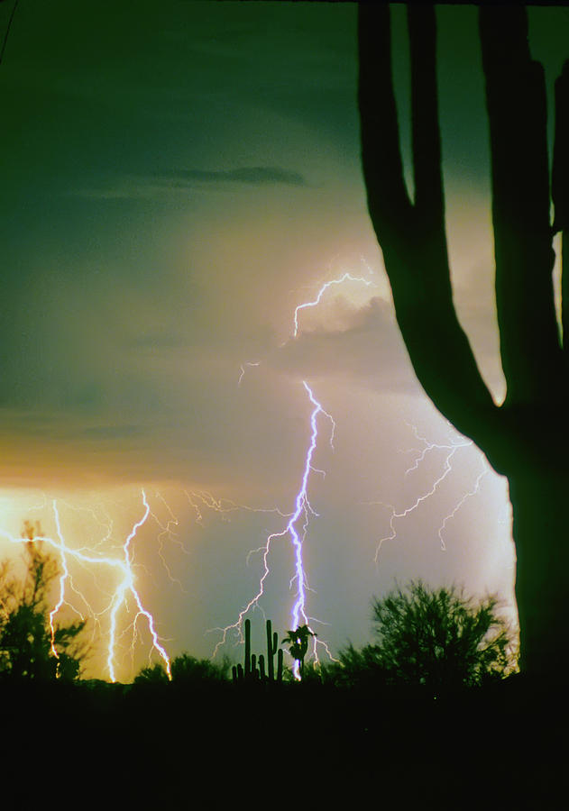 Giant Saguaro Cactus Lightning Storm Photograph