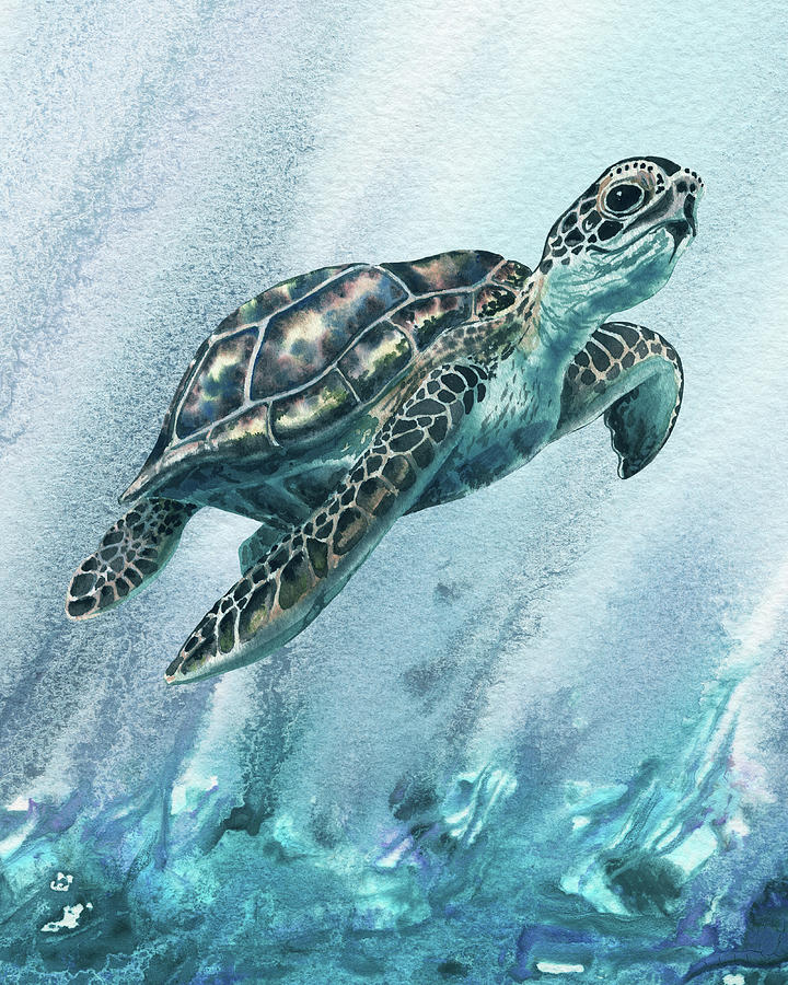 giant sea tortoise