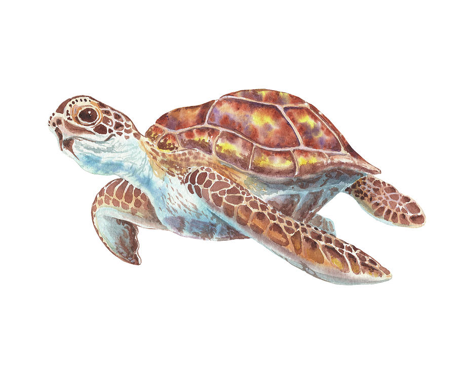 Giant Sea Turtle Watercolor Painting  Painting by Irina Sztukowski