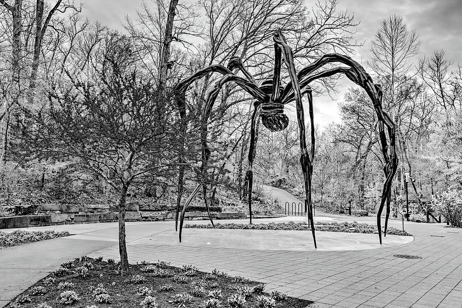 Giant Spider Sculpture In Infrared Black And White - Crystal Brides Trails Photograph by Gregory Ballos
