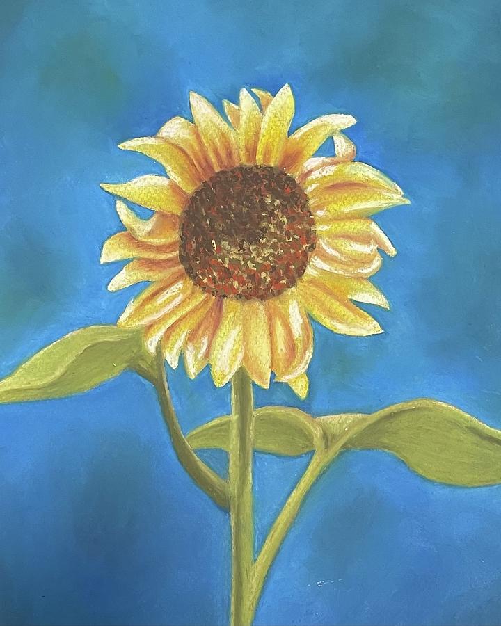 Giant Sunflower Pastel - Giant sunflower 2 by Laura Shearer