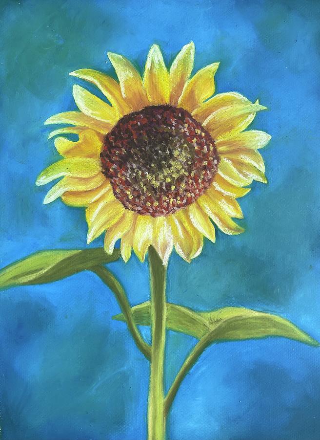 Sunflower Pastel - Giant sunflower by Laura Shearer