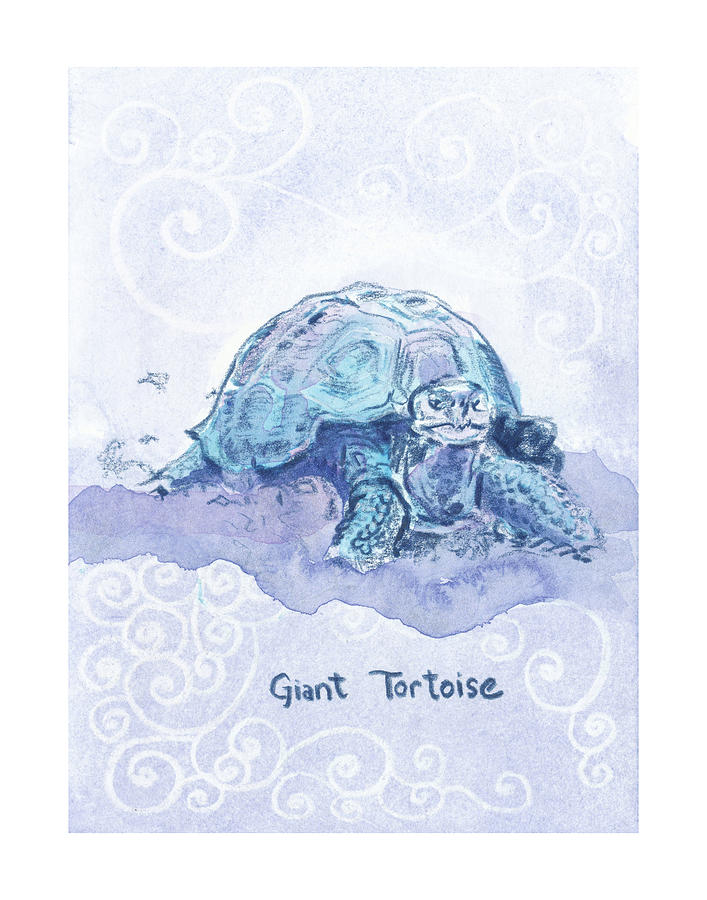 Giant Tortoise Zooly 2019 Drawing