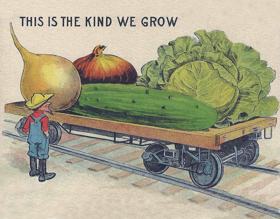 Giant vegetables Digital Art by Long Shot