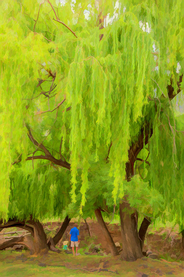 Nature Digital Art - Giant Willow Tree by Elizabeth Coughlan