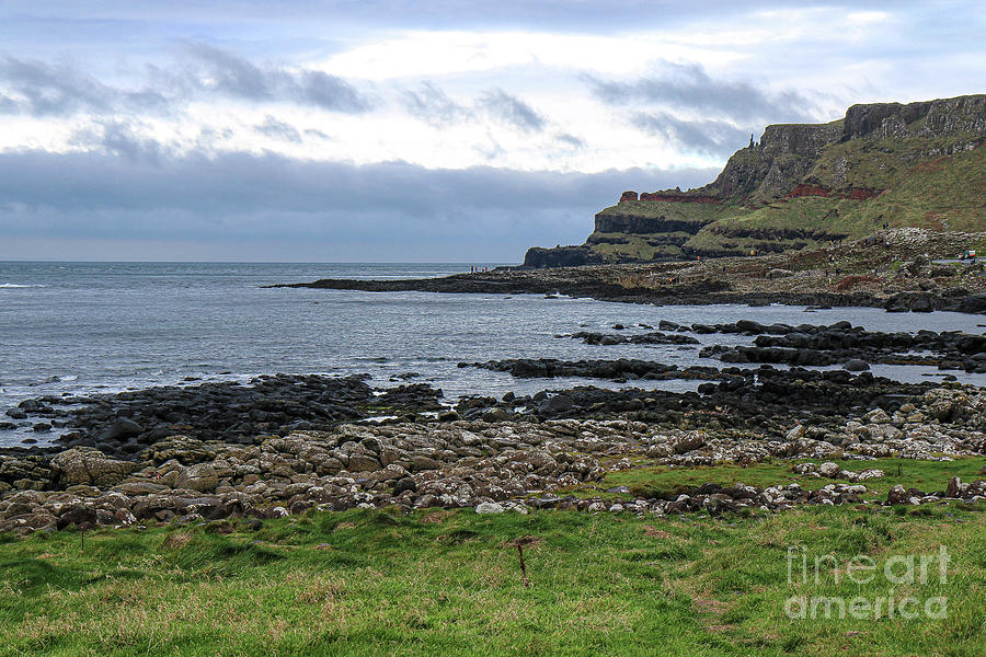 Giants Causeway Northern Ireland Photograph by Veronica Batterson