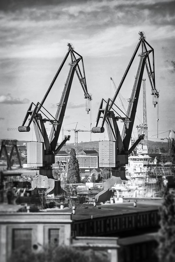 Crane Photograph - Giants of Industry Gdansk Shipyard Poland Black and White  by Carol Japp