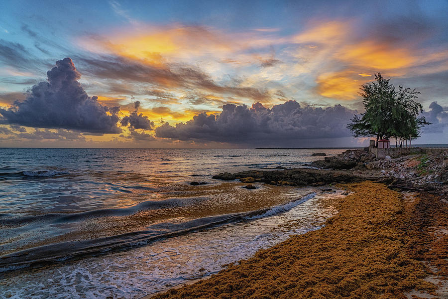 Gibara Sunrise Photograph by Roni Chastain