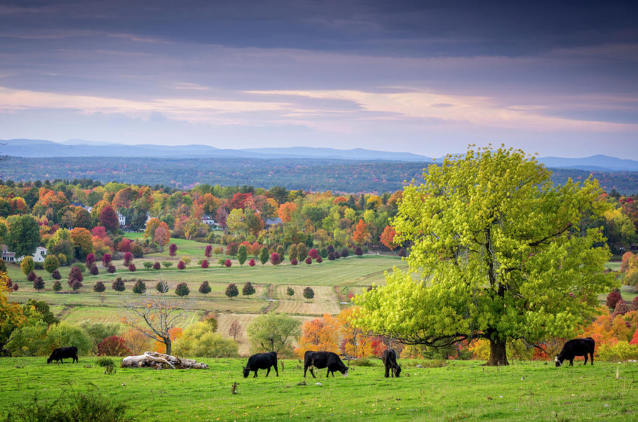 Gibbet Hill in Fall Photograph by Thomas Briere - Fine Art America