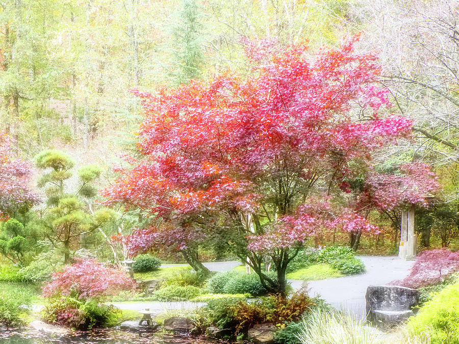 Gibbs Japaneese Garden Photograph by Penny Lisowski