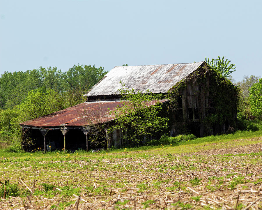 Gieger Road Barn Photograph