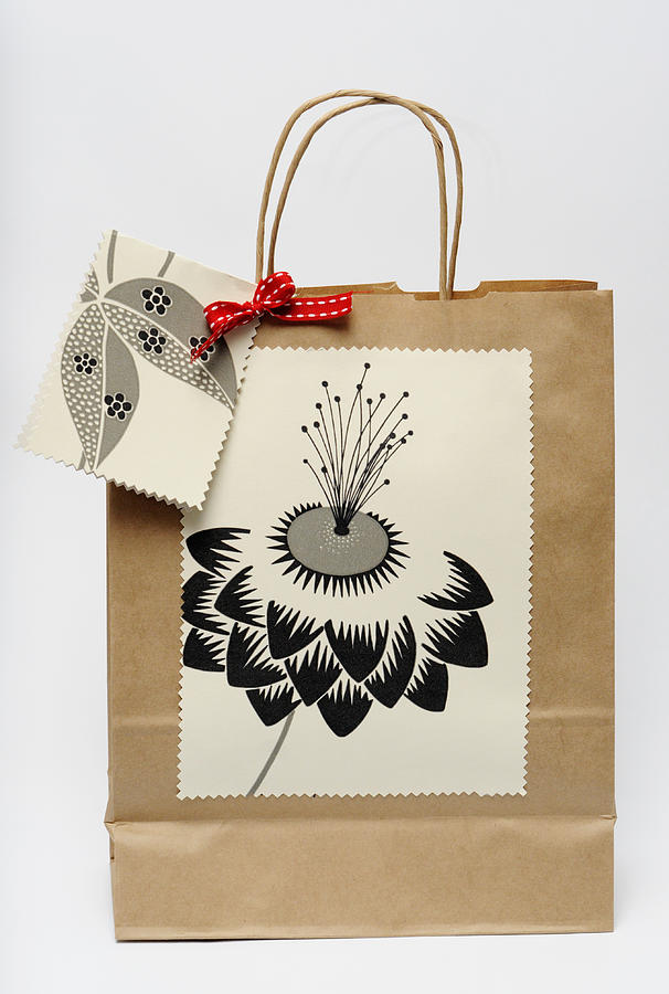 Gift bag on white background (made by myself) Photograph by By Ale_flamy