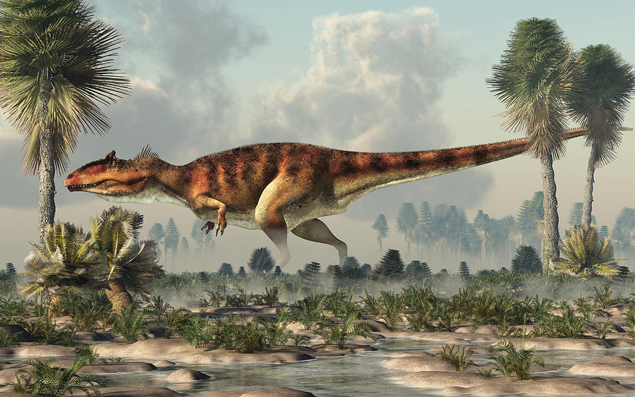 giganotosaurus vs carnotaurus