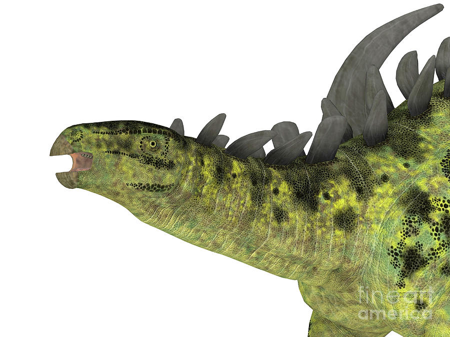Gigantspinosaurus Dinosaur Head Digital Art by Corey Ford