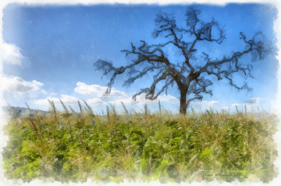 Gilroy Cornfield Watercolor - Gilroy, CA - L365 Photograph by Bruce McFarland